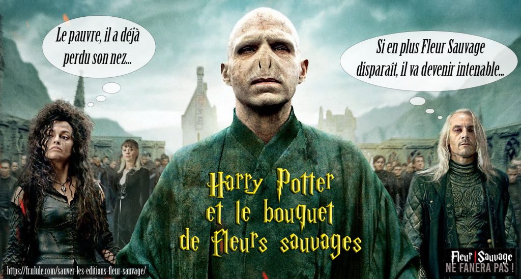 Détournement Voldemort Harry Potter Fleur Sauvage par Un K à part