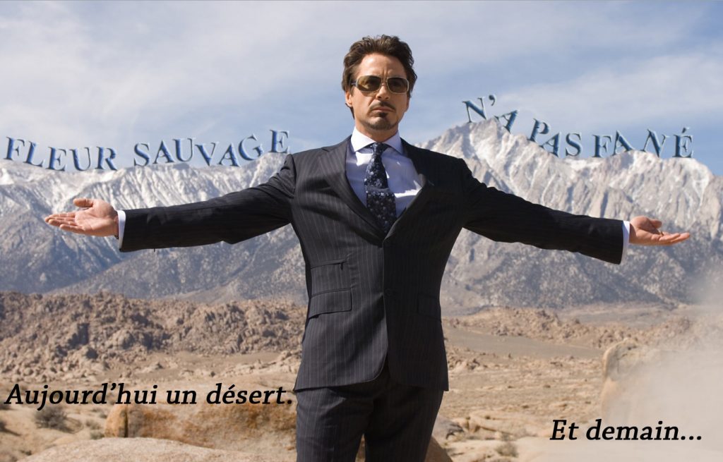 Détournement Tony Stark Fleur Sauvage par Un K à part