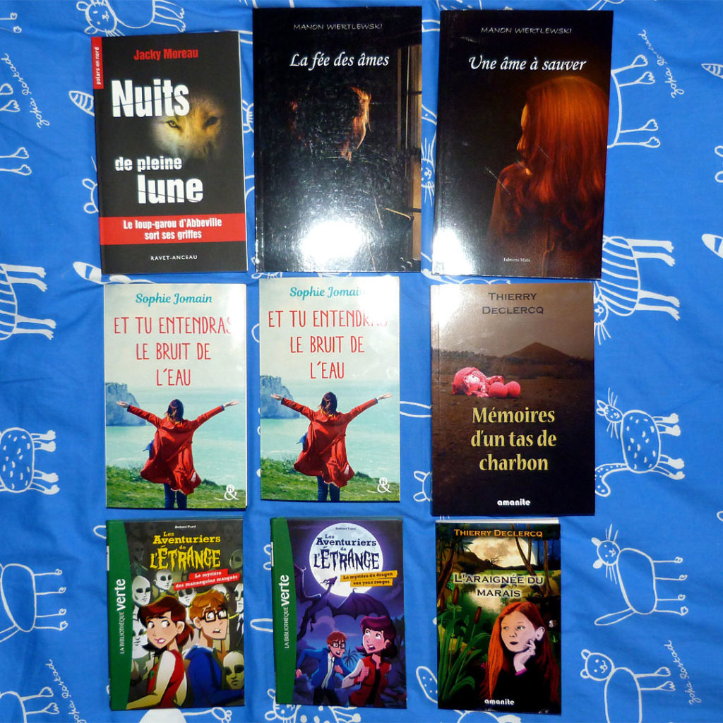 Achats salon livre francophonie Abbeville 2019