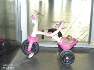 Rencontre improbable en salon un tricycle rose