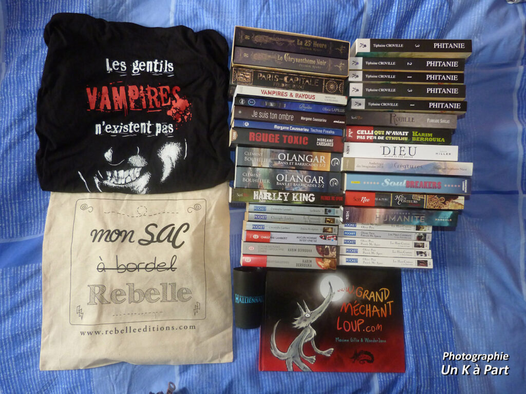 Halliennales 2018 achats livres et cadeaux