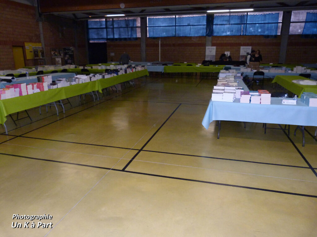 Halliennales 2018 vue d'ensemble de la salle