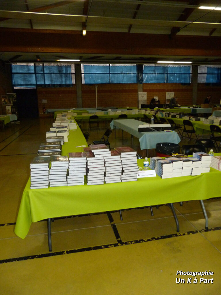 Halliennales 2018 pile de livres à dédicacer