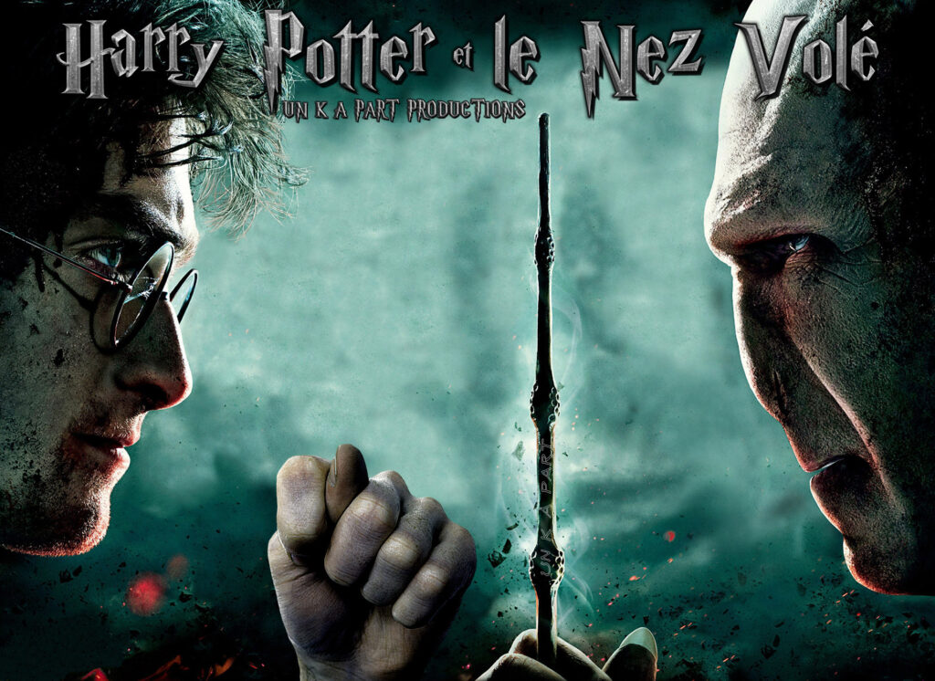 Poster Harry Potter Et Voldemort Sur Verre - 41x31 Cm - Décoration Chambre, Bureau, Fan Harry Potter