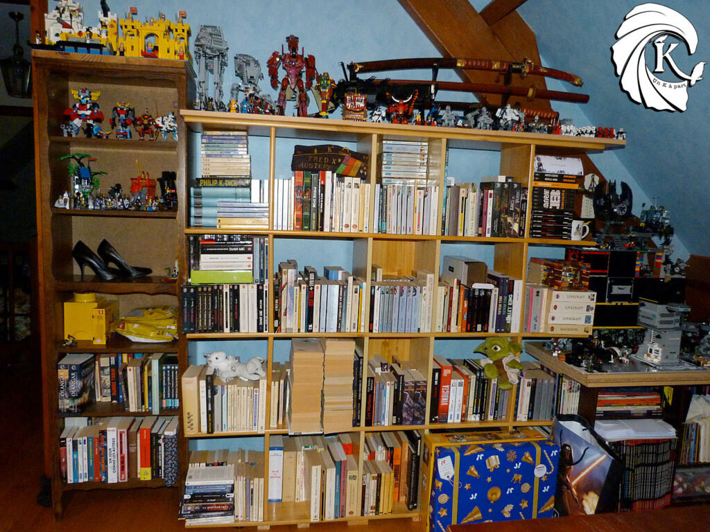 Bibliothèque étagères livres exposition Lego