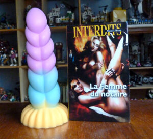 La femme du notaire Michel Bazin Média 1000
